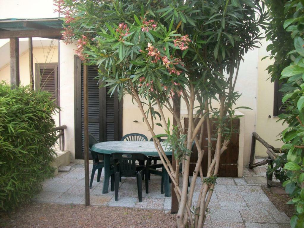 Casa Tavolara Daire San Teodoro  Dış mekan fotoğraf